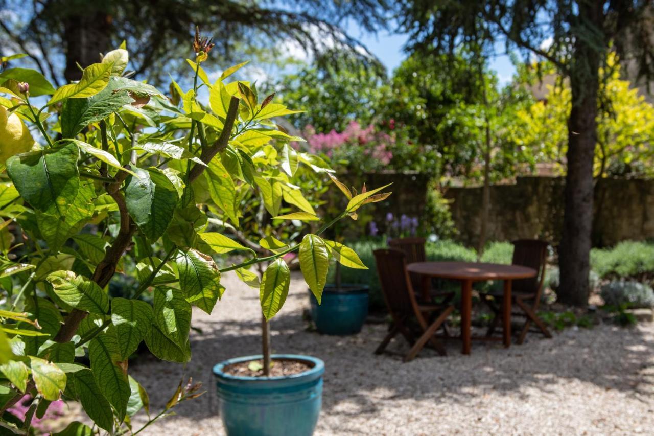 Le Jardin De Mazan Bed & Breakfast Exterior photo